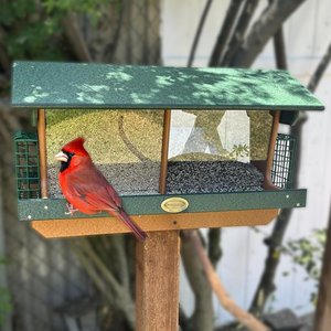 Large Poly Double Bird Feeder with Suet Cages Post Mount