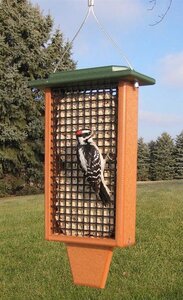 Poly Double Suet Bird Feeder with Tail