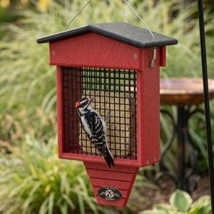 Poly Large Suet Cake Feeder with Tail Prop