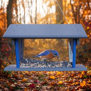 Hanging Bluebird Mealworm Feeder - Made from Recycled Poly