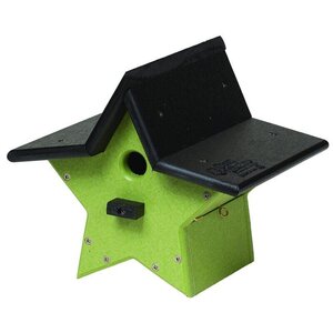 Poly Lumber Star Wren Bird House