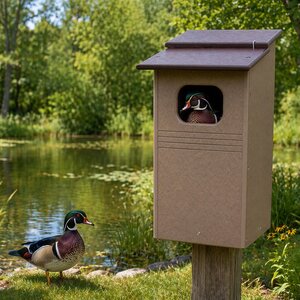 Wood Duck Bird House, Poly Lumber, Post-Mount Design