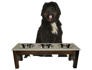 Triple Bowl Dog Bowl Diner