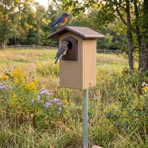 Poly Bluebird House - Sparrow Resistant