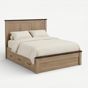 Richey Panel Platform Bed with Drawers