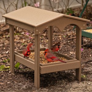 Poly Covered Ground Bird Feeder With Removable Tray