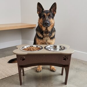 Recycled Poly Extra Large Dog Feeding Stand