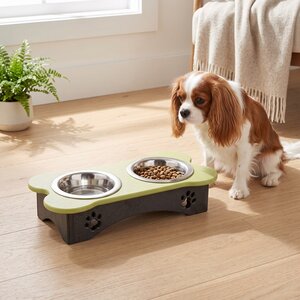 Poly Elevated Double Bowl Small Dog Food Diner, 2 Cups