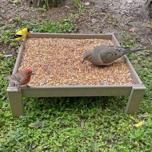 Poly Lumber Tray Feeder - DutchCrafters Exclusive