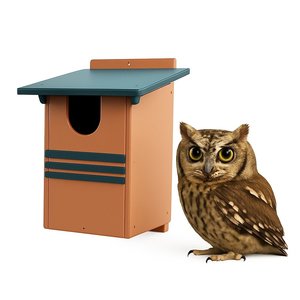 Poly Screech Owl Box Nest House - DutchCrafters Exclusive
