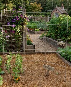 Folding Vegetable Trellis 5 Pack - Choose Size