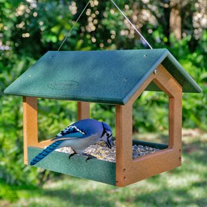 Poly Hopper Modern Bird Feeder - DutchCrafters Exclusive