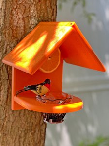 Poly Wall Mount Single Oriole Bird Feeder - DutchCrafters Exclusive