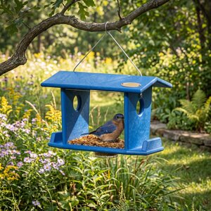 Poly Hanging Bluebird Feeder for Mealworms