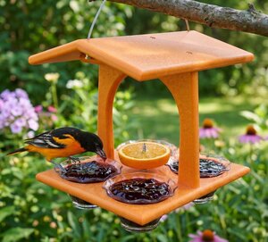 Poly Poly Quad Oriole Bird Feeder