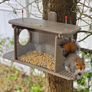 Poly Squirrel Feeder Box with Corn Cob Holders