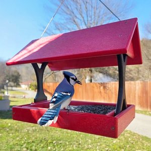 Fly-Thru Bird Feeder with Removable Tray - Poly Lumber