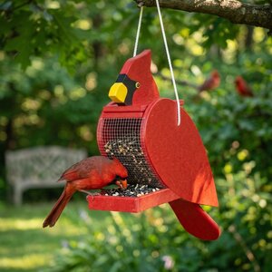 Amish-Made Hanging Poly Bird Shaped Feeders - Choose Your Bird