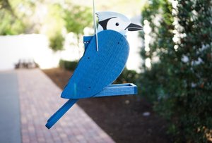 Handcrafted Blue Jay Shaped Bird Feeder