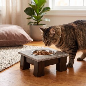Springville Single Pet Bowls
