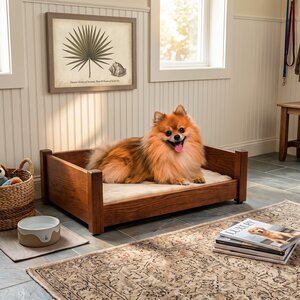 Fenton Pet Lounge