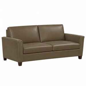 Maya Transitional Queen Sleeper Sofa Bed