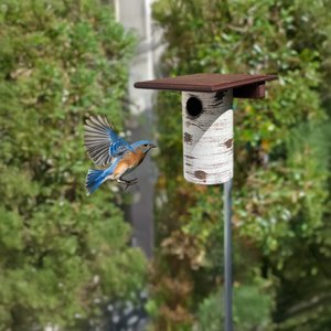 Gilbertson Pole Mount Bluebird House In-Stock