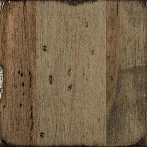 PCL Sample - Wormy Maple - Distressed Weathered Rockledge with 10 Sheen Varnish