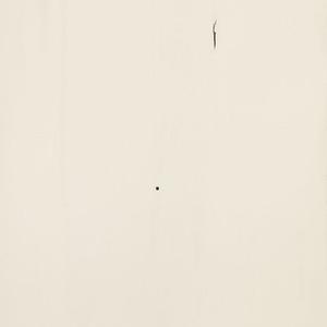 PCL Sample - Wormy Maple - Muted White with 10 Sheen Varnish