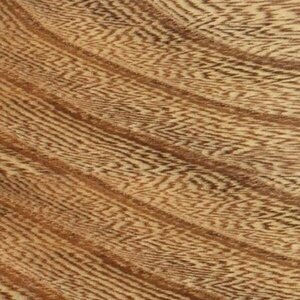 OCS Sample - Elm - 101-S2