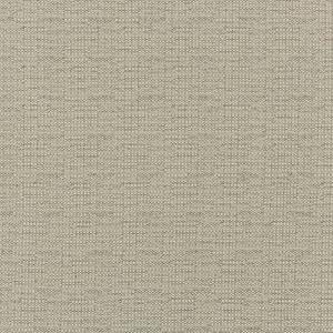 Heartland Upholstery Sample - Crypton - C8-57 - Coconut