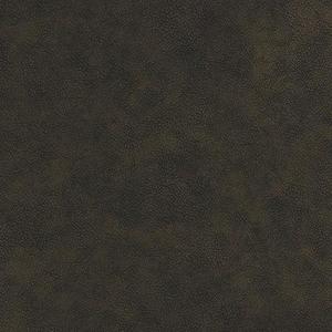 Heartland Upholstery Sample - Faux Leather - 4-142 - Jackson