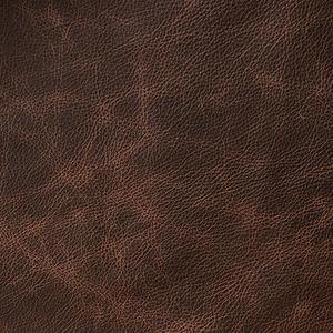 Heartland Upholstery Sample - Genuine Leathers - Texas
