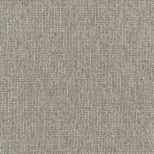 Heartland Upholstery Sample - Revolution - R1-100 - Kitty