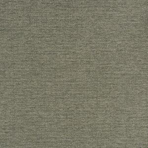 Heartland Upholstery Sample - Revolution - R1-117 - Coat