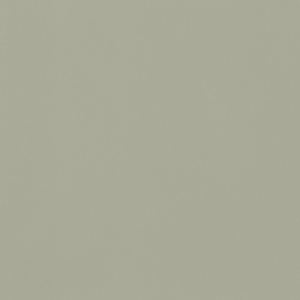 PCL Sample - Brown Maple - Muted Dried Spruce 10 Sheen