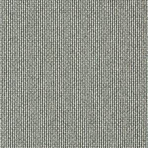 Heartland Upholstery Sample -  Revolution R1-161 Belladonna