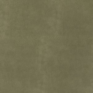 Heartland Upholstery Sample - Ultraleather U3-55 Prairie