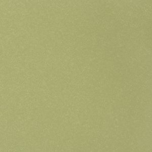 Heartland Upholstery Sample -Ultraleather U3-60 Icy Pear