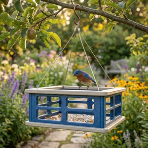 Recycled Poly Caged Platform Bluebird Feeder Mealworm Feeder