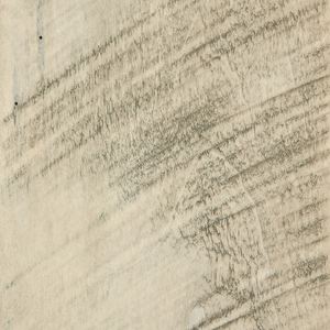 PCL Sample - RSWM - Limelight