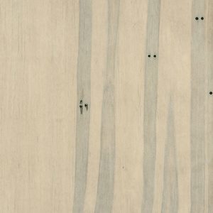 PCL Sample - Wormy Maple - Limelight