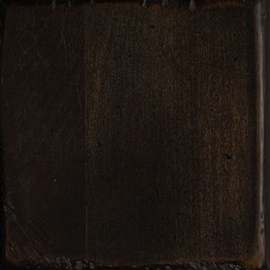 PCL Sample - Brown Maple - Distressed Weathered Black - 10 Sheen