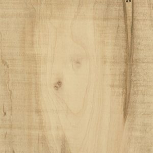 PCL Sample - RSWM - Bamboo