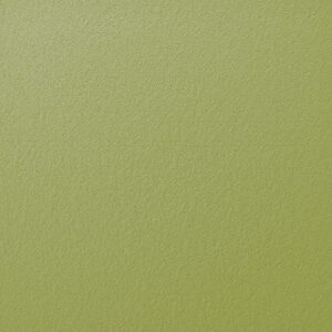 Berlin Gardens Poly Color Sample - Two-Tone Kiwi Green and White