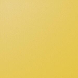 Berlin Gardens Poly Color Sample - Two-Tone Sunburst Yellow and White