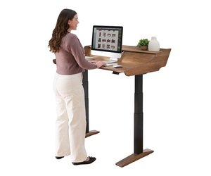 Audrey Electric Adjustable Standing Desk