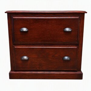 Outlet: Oak Wood 2-Drawer Lateral File Cabinet In-Stock