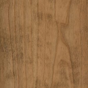 PCL Sample - Cherry - Amaretto