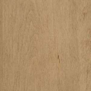 PCL Sample - Hard Maple - Amaretto
